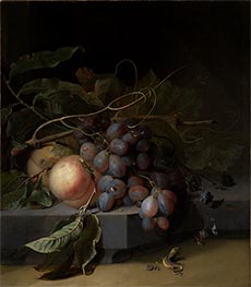Fruit Still Life with Lizard, undated by Abraham Mignon | Painting Reproduction