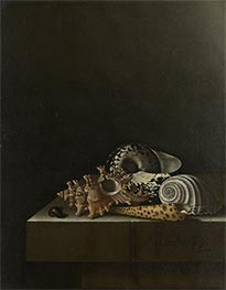 Shells on a Stone Plinth, 1698 by Adriaen Coorte | Painting Reproduction