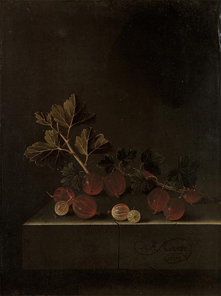 Ein Stachelbeerzweig auf einem Steinsockel, 1699 | Adriaen Coorte | Gemälde Reproduktion