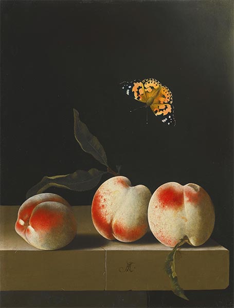 Drei Pfirsiche mit einem roten Admiral-Schmetterling, undated | Adriaen Coorte | Gemälde Reproduktion
