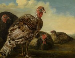 Domestic fowl, n.d. by Aelbert Cuyp | Painting Reproduction