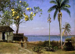 Tropical Scene, undated by Bierstadt | Painting Reproduction