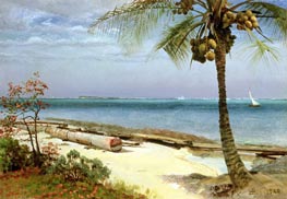 Tropical Coast, undated by Bierstadt | Painting Reproduction