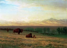 Buffalo on the Plains, c.1890 by Bierstadt | Painting Reproduction