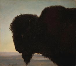 Buffalo Head, c.1879 by Bierstadt | Painting Reproduction