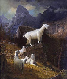 Rocky Mountain Goats, c.1885 by Bierstadt | Painting Reproduction