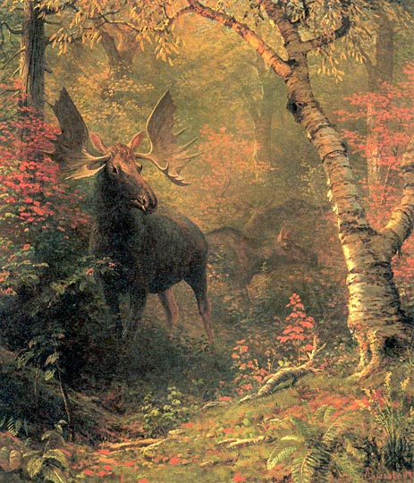 Moose, After 1880 | Bierstadt | Gemälde Reproduktion