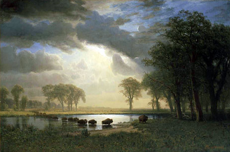 The Buffalo Trail, 1869 by Bierstadt | Painting Reproduction