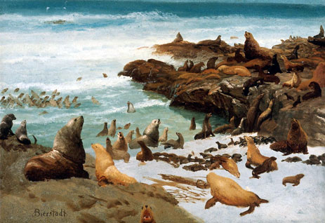 Seal Rocks, Farallons, 1872 | Bierstadt | Painting Reproduction
