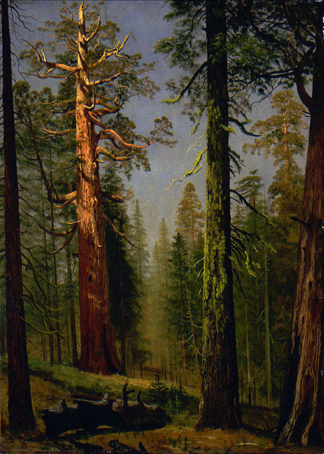 The Grizzly Giant Sequoia, Mariposa Grove, California, c.1872/73 | Bierstadt | Painting Reproduction