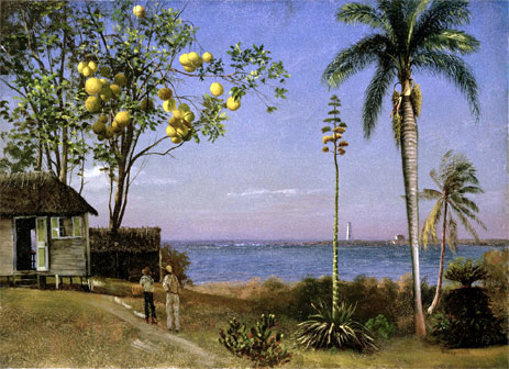 Tropical Scene, undated | Bierstadt | Painting Reproduction