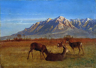 Deer in Mountain Home | Bierstadt | Painting Reproduction