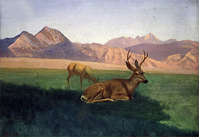 Deer, indated | Bierstadt | Gemälde Reproduktion
