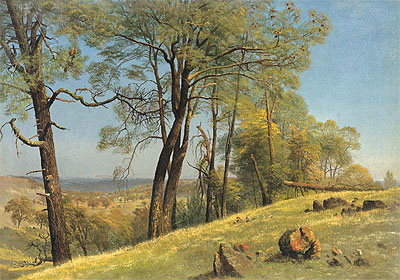 Rockland County, California, c.1872 | Bierstadt | Gemälde Reproduktion
