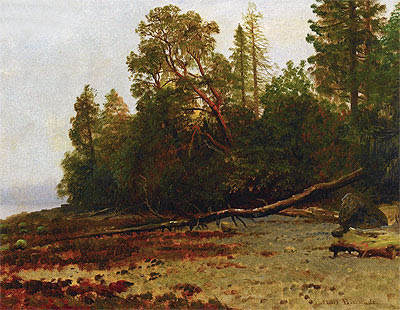 Der gefallene Baum | Bierstadt | Gemälde Reproduktion