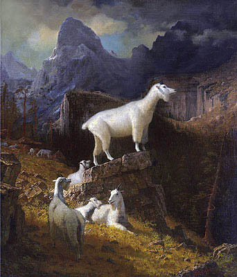 Rocky Mountain Goats, c.1885 | Bierstadt | Painting Reproduction