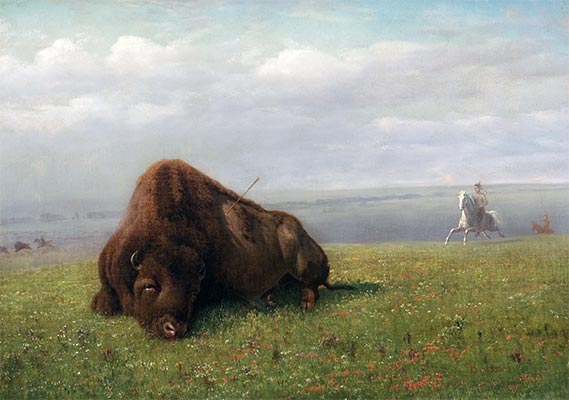 Buffalo Hunting, undated | Bierstadt | Painting Reproduction