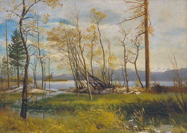 Lake Tahoe | Bierstadt | Gemälde Reproduktion