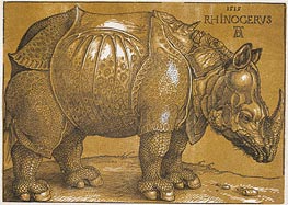 Das Rhinozeros, 1515 von Durer | Gemälde-Reproduktion