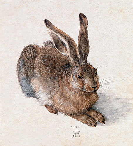 Hare, 1502 | Durer | Painting Reproduction