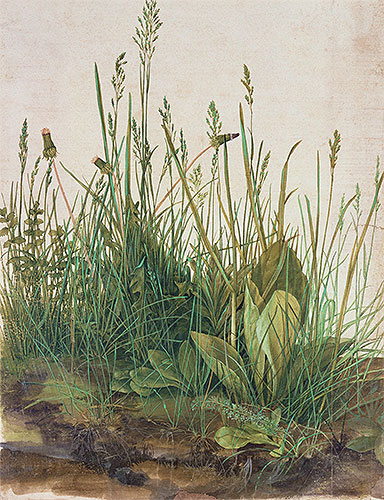 The Great Piece of Turf, 1503 | Durer | Painting Reproduction