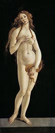 Venus, n.d. von Botticelli | Gemälde-Reproduktion