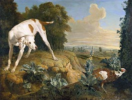 Dog Stopped in Front of a Pheasant, n.d. by Alexandre-François Desportes | Painting Reproduction