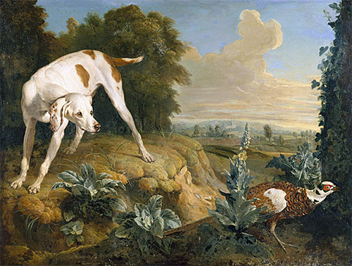 Dog Stopped in Front of a Pheasant, undated | Alexandre-François Desportes | Painting Reproduction