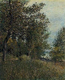 A Corner of the Roches-Courtaut Woods, June, 1884 by Alfred Sisley | Painting Reproduction