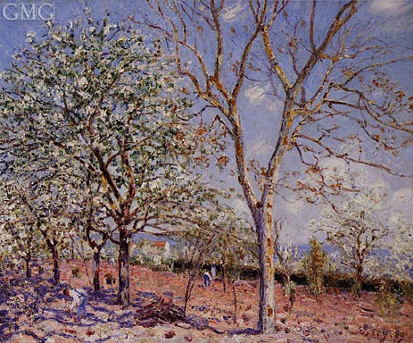 Plum and Walnut Trees in Spring, 1889 | Alfred Sisley | Painting Reproduction