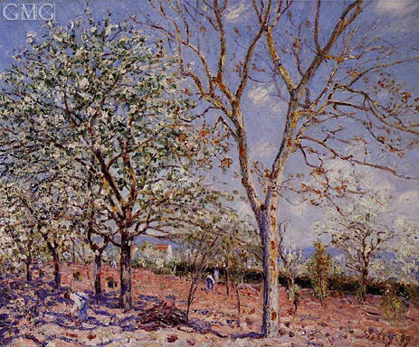 Pflaumen- und Walnussbäume im Frühling | Alfred Sisley | Gemälde Reproduktion