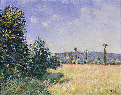 Sahurs Wiesen in Morgensonne, 1894 von Alfred Sisley | Gemälde-Reproduktion