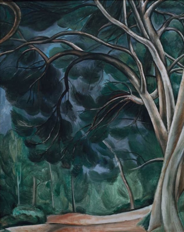 Tree Trunks, c.1912 | André Derain