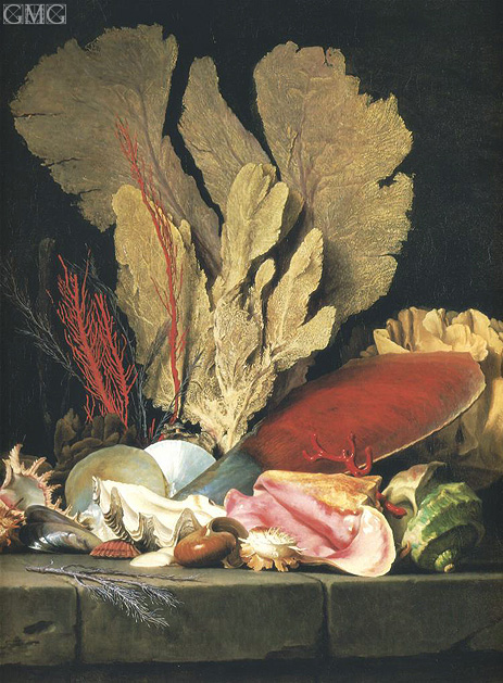 Still Life with Tuft of Marine Plants, Shells and Corals, 1769 | Vallayer-Coster | Gemälde Reproduktion