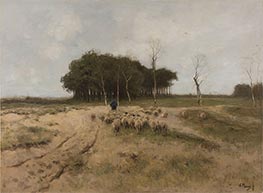 On the Heath near Laren, 1887 by Anton Mauve | Painting Reproduction