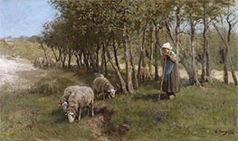 Deckerdüne, 1874 von Anton Mauve | Gemälde-Reproduktion