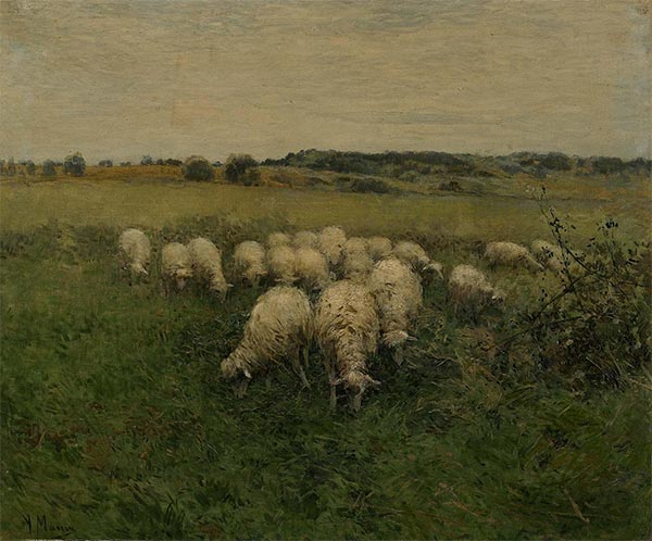 Sheep Grazing in an Open Field, n.d. | Anton Mauve | Painting Reproduction
