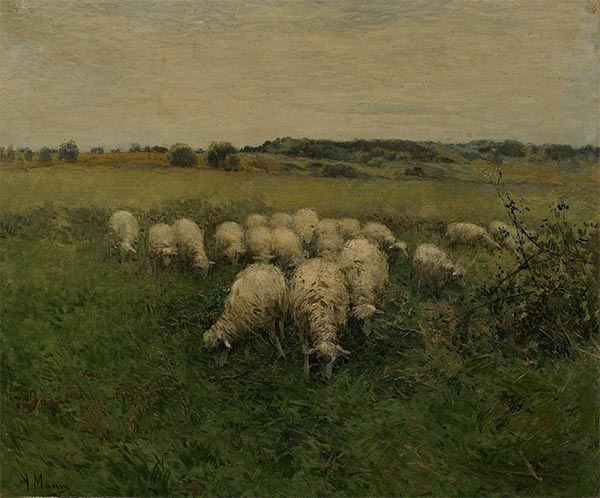 Sheep Grazing in an Open Field | Anton Mauve | Painting Reproduction