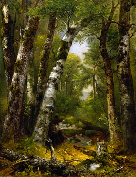 Woodland Glen, c.1850/55 | Asher Brown Durand | Painting Reproduction
