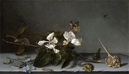 Quince Blossom Branch and Snail Shells | van der Ast | Painting Reproduction