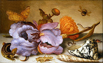 Still Life Depicting Flowers, Shells and Insects, undated | van der Ast | Gemälde Reproduktion