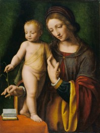 The Virgin and Child with a Columbine | Bernardino Luini | Painting Reproduction