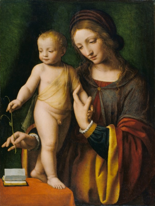 The Virgin and Child with a Columbine, c.1520/30 | Bernardino Luini