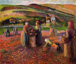 The Potato Harvest, 1893 by Pissarro | Painting Reproduction