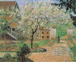 Plum Trees in Blossom, Eragny (The Artist's Home), 1894 by Pissarro | Painting Reproduction
