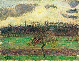 The Meadows at Eragny, Apple Tree | Pissarro | Painting Reproduction