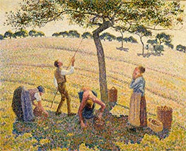 Apple Picking at Eragny-sur-Epte, 1888 by Pissarro | Painting Reproduction
