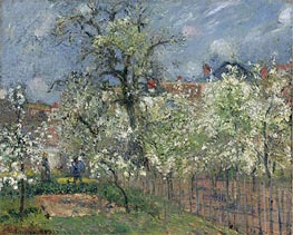 Le Jardin de Maubuisson, Pontoise, Poiriers en Fleur, 1877 by Pissarro | Painting Reproduction