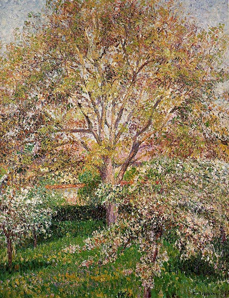 Walnuss- und Apfelbäume in Blüte in Eragny | Pissarro | Gemälde Reproduktion