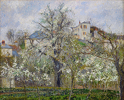 Kitchen Garden with Trees in Flower, Spring, 1877 by Pissarro | Painting Reproduction